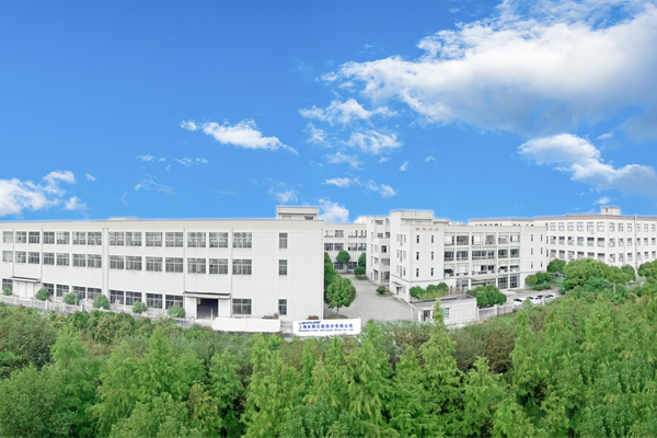 攜手同心、行而不輟，奔赴美好的2024